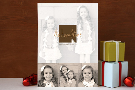 Frosted Pinecone Holiday Photo Cards