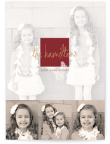 Frosted Pinecone Holiday Photo Cards