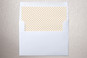 Slip-In Envelope Liners
