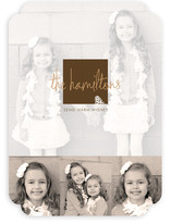 Frosted Pinecone Holiday Photo Cards