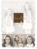Frosted Pinecone Holiday Photo Cards
