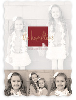 Frosted Pinecone Holiday Photo Cards