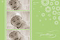 Celadon Green