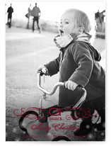 Vintage Holiday Holiday Photo Cards