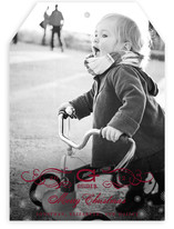 Vintage Holiday Holiday Photo Cards