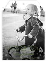 Vintage Holiday Holiday Photo Cards