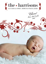 Cheery Winter Swirl Holiday Photo Cards, by The Happy Envelope