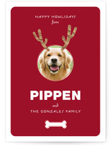 Reindog Holiday Photo Cards