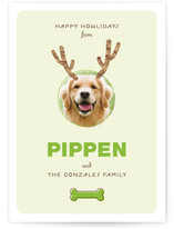 Reindog Holiday Photo Cards