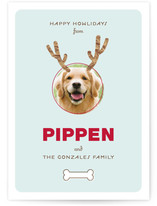 Reindog Holiday Photo Cards
