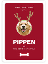 Reindog Holiday Photo Cards