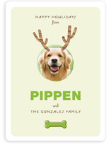 Reindog Holiday Photo Cards