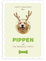 Reindog Holiday Photo Cards