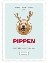 Reindog Holiday Photo Cards