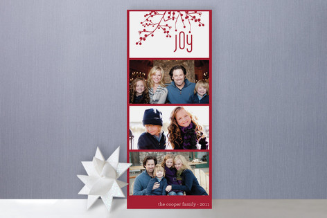 Organic Joy Holiday Photo Cards