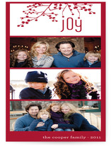 Organic Joy Holiday Photo Cards