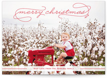 Gallery Classic Holiday Photo Cards