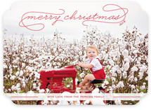 Gallery Classic Holiday Photo Cards