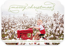 Gallery Classic Holiday Photo Cards