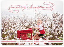 Gallery Classic Holiday Photo Cards