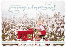 Gallery Classic Holiday Photo Cards