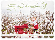 Gallery Classic Holiday Photo Cards