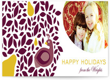 Partridge Family Holiday Photo Cards