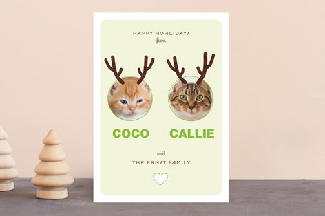 Reinpet Holiday Photo Cards