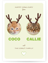 Reinpet Holiday Photo Cards