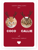 Reinpet Holiday Photo Cards