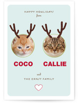 Reinpet Holiday Photo Cards