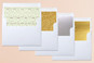 Slip-In Envelope Liners