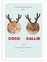Reinpet Holiday Photo Cards
