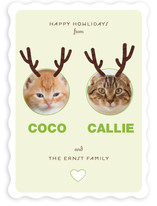 Reinpet Holiday Photo Cards
