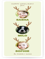 Reinpet + Family Holiday Photo Cards