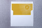 Slip-In Envelope Liners