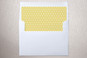 Slip-In Envelope Liners