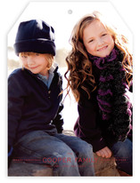 Modern Family Crest Holiday Photo Cards