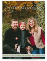 Gallery Classic Holiday Photo Cards
