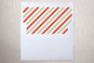 Slip-In Envelope Liners
