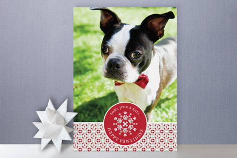 Happy Pawlidays Holiday Photo Cards