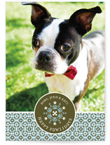 Happy Pawlidays Holiday Photo Cards