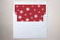 Slip-In Envelope Liners