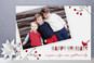winter berries Holiday Photo Cards