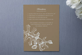 Information Cards