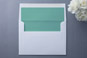 Slip-In Envelope Liners