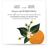 Citrus Crush Wedding Invitations