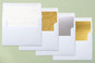 Slip-In Envelope Liners