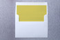 Slip-In Envelope Liners