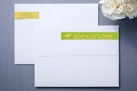 Lime and Cloud Skinny-WrapÃ¢â€žÂ¢ Address Labels